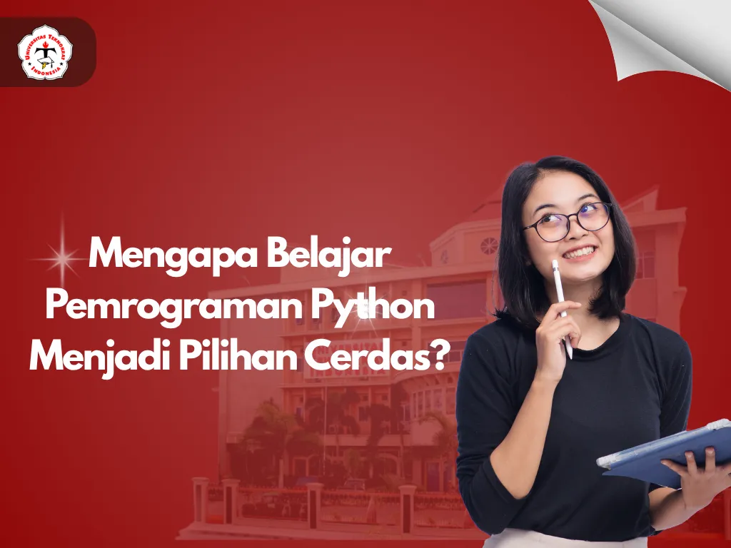 Mengapa Belajar Pemrograman Python Menjadi Pilihan Cerdas?